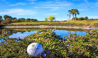 lo romero golf and country club